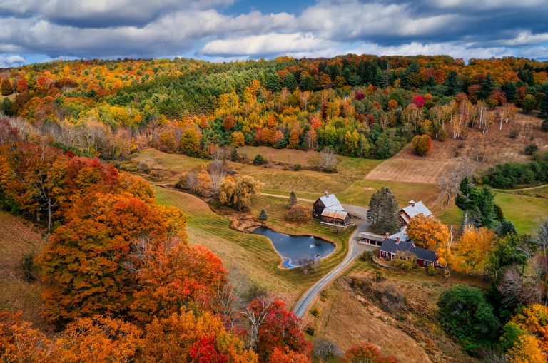 Should You Buy a Business in a Rural Area?